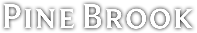 Pine Brook Partners