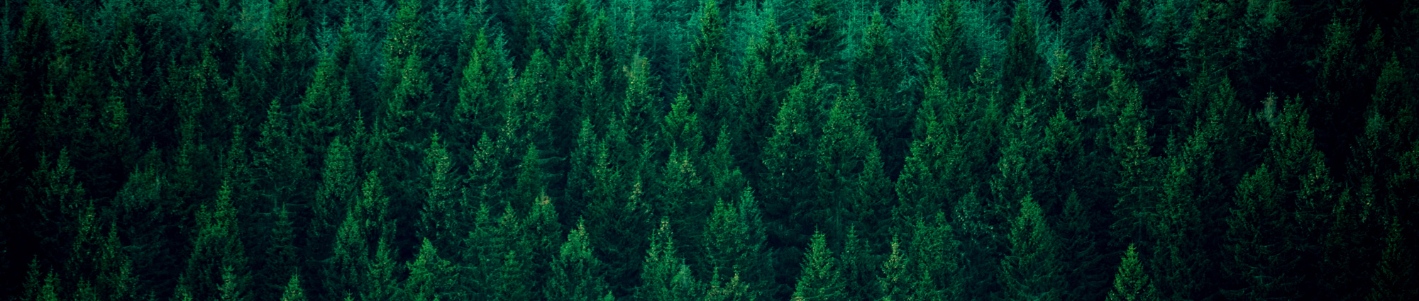 Background image Team