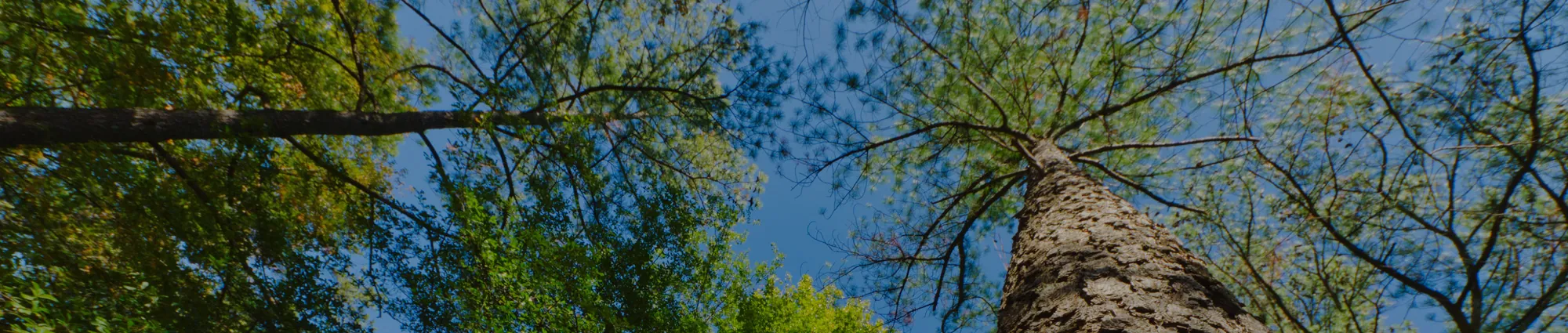 Background image hero